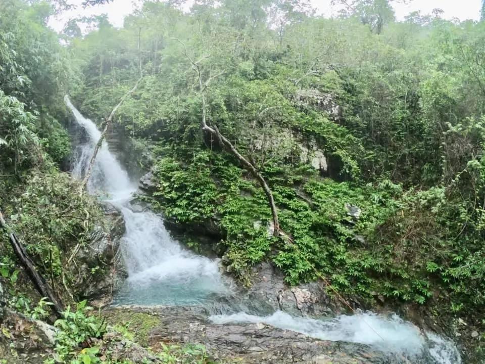 Mount Avangan Eco Adventure Park Corón Exterior foto